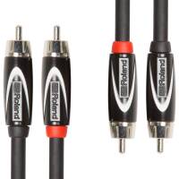 RCC-10-2R2R